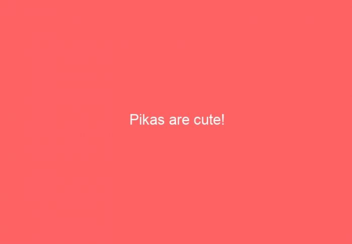 Pikas are cute!