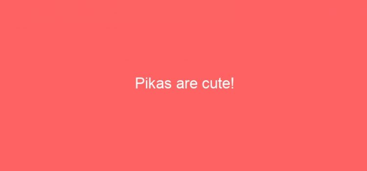 Pikas are cute!