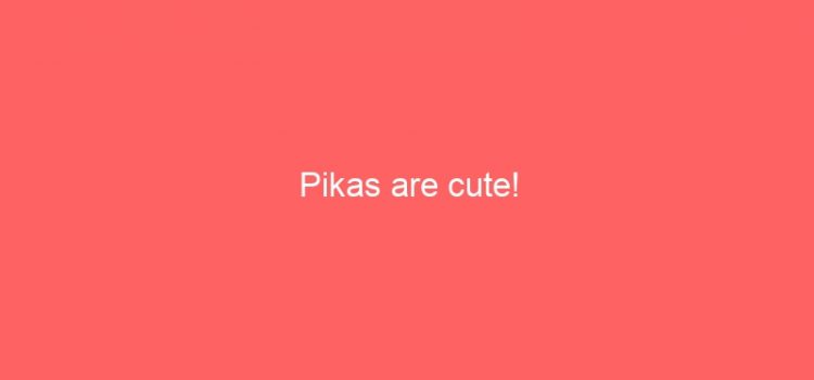 Pikas are cute!