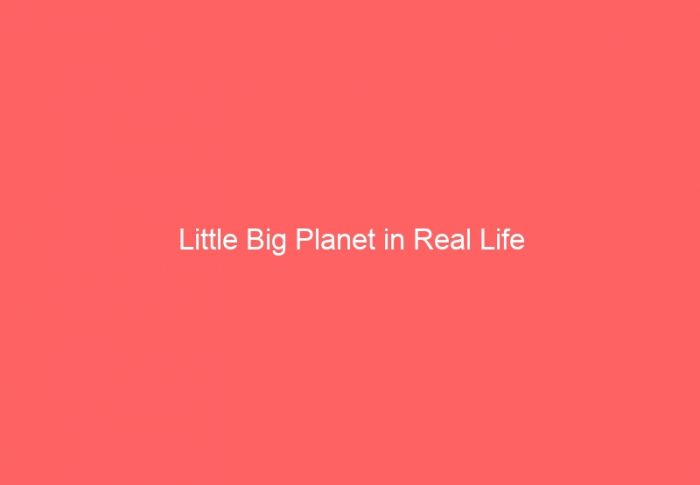 Little Big Planet in Real Life